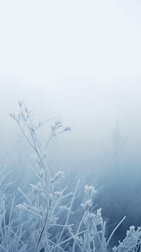 Frost outdoors nature snow. AI generated Image by rawpixel.