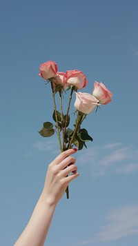 Hand holding rose bouquet flower finger plant. 