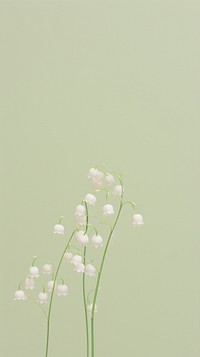 Lily of the valley flower plant petal. AI generated Image by rawpixel.