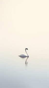 Swan in the lake animal bird tranquility. AI generated Image by rawpixel.