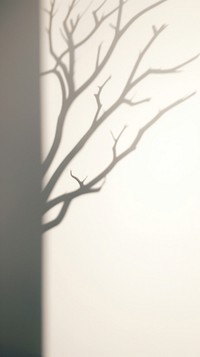 Tree shadow wall silhouette plant. AI generated Image by rawpixel.