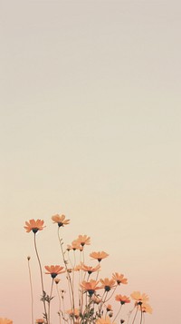 Wildflowers outdoors nature plant. AI generated Image by rawpixel.