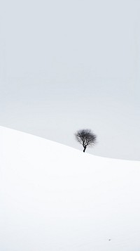 Winter landscape outdoors nature plant. AI generated Image by rawpixel.