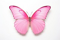 Pink butterfly animal insect petal. AI generated Image by rawpixel.