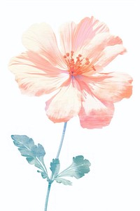 Flower hibiscus blossom plant. AI generated Image by rawpixel.