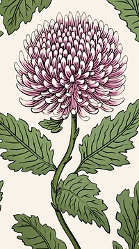 Chrysanthemum drawing flower sketch. AI generated Image by rawpixel.