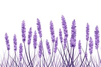 Lavender lavender backgrounds flower. AI generated Image by rawpixel.