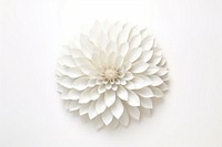 White dahlia flower petal plant white background. AI generated Image by rawpixel.