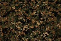 Digital marpat camo camouflage pattern backgrounds military textured. AI generated Image by rawpixel.