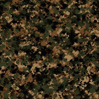 Digital marpat camo camouflage pattern backgrounds military repetition. AI generated Image by rawpixel.