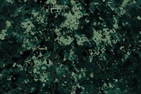 Digital marpat camo camouflage pattern backgrounds textured abstract. AI generated Image by rawpixel.