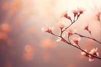 Spring outdoors blossom flower. AI generated Image by rawpixel.