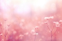 Pink backgrounds outdoors blossom. AI generated Image by rawpixel.