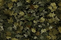 Real leaf camouflage pattern backgrounds plant tree. AI generated Image by rawpixel.