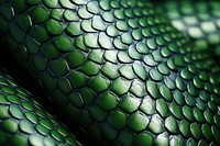 Snake reptile green backgrounds. AI generated Image by rawpixel.