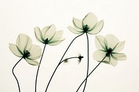Green flowers petal plant white. AI generated Image by rawpixel.