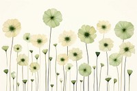 Green flowers backgrounds pattern plant. AI generated Image by rawpixel.