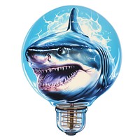 A shark in the light bulb isolated on clear pale solid white background lightbulb animal illuminated. AI generated Image by rawpixel.