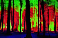 Big fire in forest backgrounds outdoors glowing. AI generated Image by rawpixel.