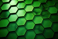 Imagine a webside background green backgrounds honeycomb. 