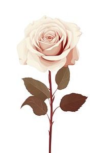 A beautiful rose flower plant white. AI generated Image by rawpixel.