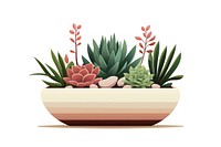 Succulents at Allan Gardens flower plant white background. AI generated Image by rawpixel.
