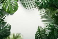 A palm leaves border green outdoors nature. 