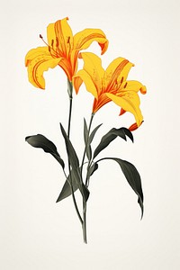 Lillys flower nature plant. AI generated Image by rawpixel.