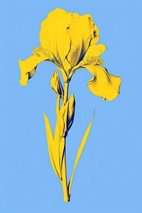 A Iris flower nature petal plant. AI generated Image by rawpixel.