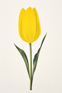 A tulip flower yellow petal. AI generated Image by rawpixel.