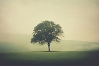 A large tree sitting on top of a lush green field outdoors nature plant. AI generated Image by rawpixel.