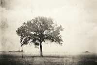 A large tree sitting on top of a lush green field landscape outdoors nature. AI generated Image by rawpixel.