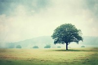 A large tree sitting on top of a lush green field landscape grassland outdoors. AI generated Image by rawpixel.