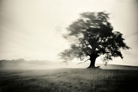 A large tree sitting on top of a lush green field silhouette landscape outdoors. AI generated Image by rawpixel.