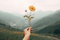 Hand holding a flower in front of hills photography outdoors nature. AI generated Image by rawpixel.