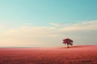 Aesthetic wild landscape outdoors horizon. AI generated Image by rawpixel.