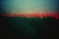 Grass landscape outdoors horizon. AI generated Image by rawpixel.
