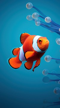 Clownfish animal pomacentridae underwater. AI generated Image by rawpixel.