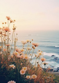 Photo close up of wildflowers with ocean landscape outdoors nature. AI generated Image by rawpixel.