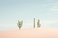 Cactuss on the dune landscape outdoors desert. AI generated Image by rawpixel.
