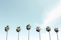 Coconut trees sky outdoors nature. AI generated Image by rawpixel.