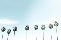 Coconut trees sky outdoors nature. AI generated Image by rawpixel.