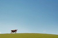 Cow in valley of Switzerland sky grassland landscape. AI generated Image by rawpixel.