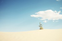 Dune and cactus landscape sky outdoors. AI generated Image by rawpixel.