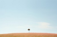 Flower hill landscape sky grassland. AI generated Image by rawpixel.