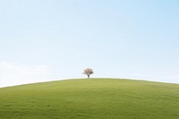 Wildflower hill landscape sky outdoors. AI generated Image by rawpixel.