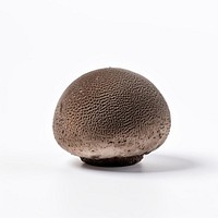 Truffle mushroom sphere white background simplicity. AI generated Image by rawpixel.