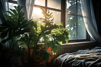 Plants windowsill furniture bedroom. AI generated Image by rawpixel.