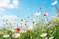 Spring meadow grassland landscape outdoors. AI generated Image by rawpixel.