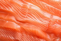 Fresh salmons seafood backgrounds freshness. AI generated Image by rawpixel.